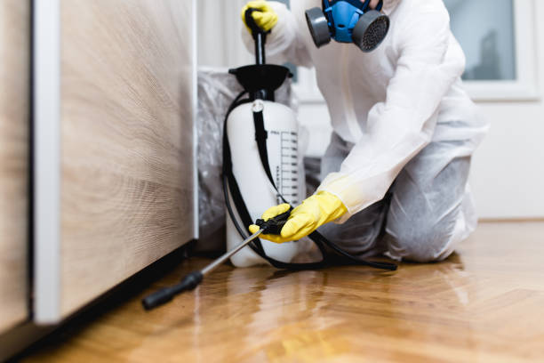 Best Best Pest Control Companies  in Paramount Long Meadow, MD