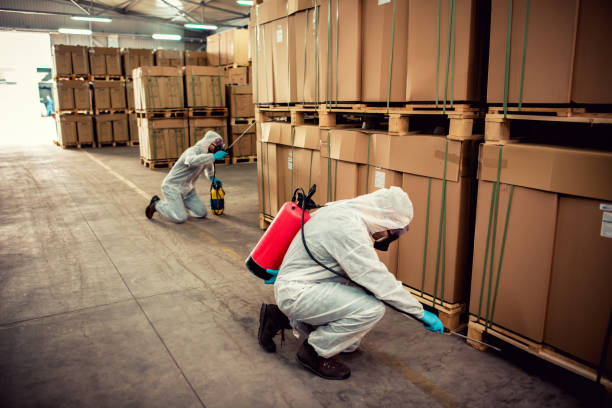 Paramount Long Meadow, MD Pest Control Company