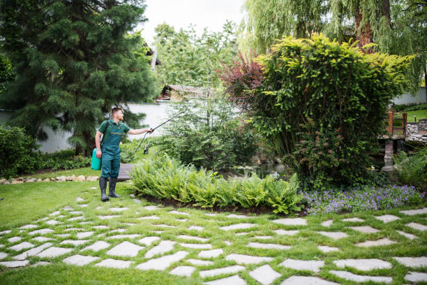 Best Wasp Removal Services  in Paramount Long Meadow, MD