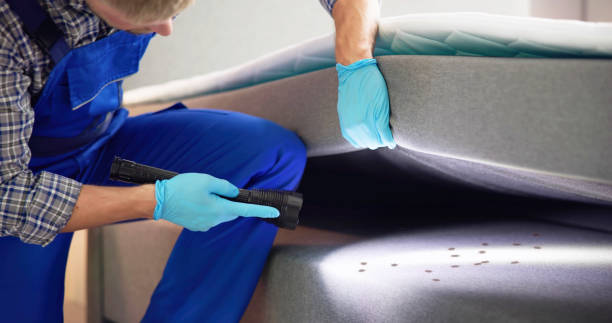 Best Termite Control Services  in Paramount Long Meadow, MD