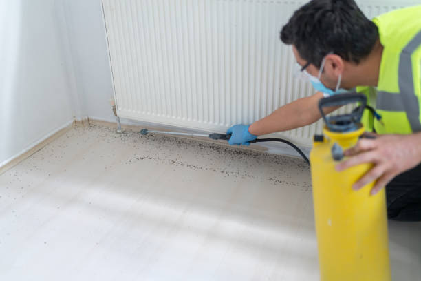 Best Flea Control Services  in Paramount Long Meadow, MD